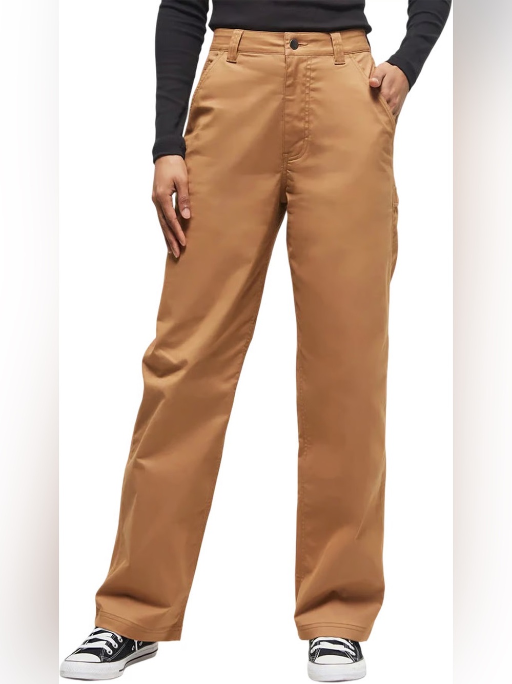 Tentree Techblend carpenter pants in brown